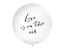 Ballon géant "Love is in the air"