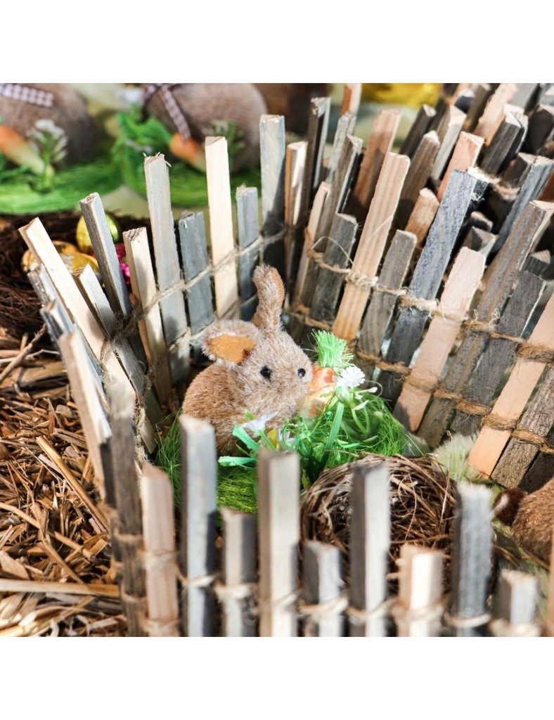 Mini Lapin sur pelouse