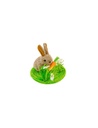 Mini Lapin sur pelouse