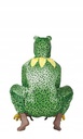 Déguisement enfant Grenouille