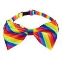 Set d'accessoires arc-en-ciel