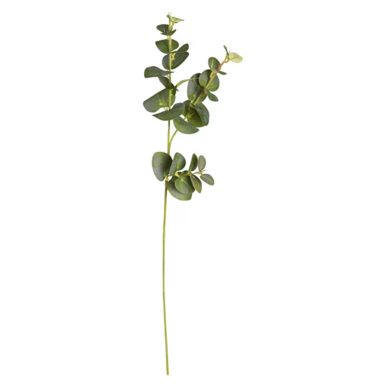 Tige Eucalyptus 64 cm