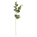 Tige Eucalyptus 64 cm