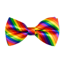 Noeud papillon arc-en-ciel