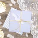 Plumes décoratives blanches, 3g