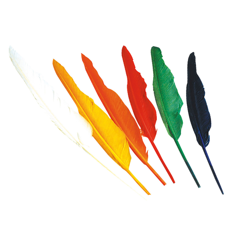 Lot de 12 plumes indiennes