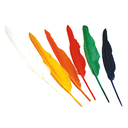 Lot de 12 plumes indiennes