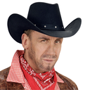 Chapeau de cow boy avec clous