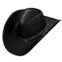 Chapeau de cow boy avec clous