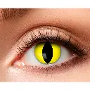 Lentilles fantaisies Yellow Cat - 1 semaine