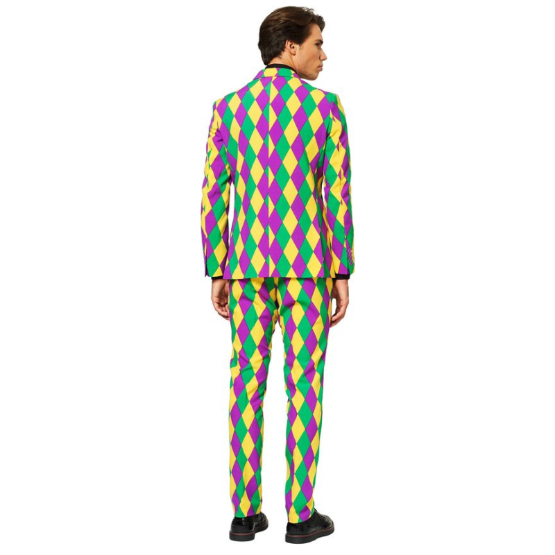 Déguisement d'Harleking pour homme - Opposuit