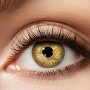 Kit lentilles, faux cils et faux ongles OR
