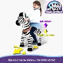 Pony Cycle Zèbe 4-9 ans
