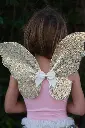 Set Papillon sequin doré 4-6 ans 