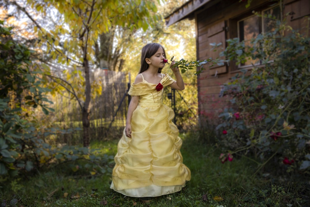Robe princesse "Belle"