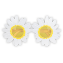 Lunettes Hippie marguerite