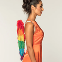 AILES D'ANGE PLIEES 