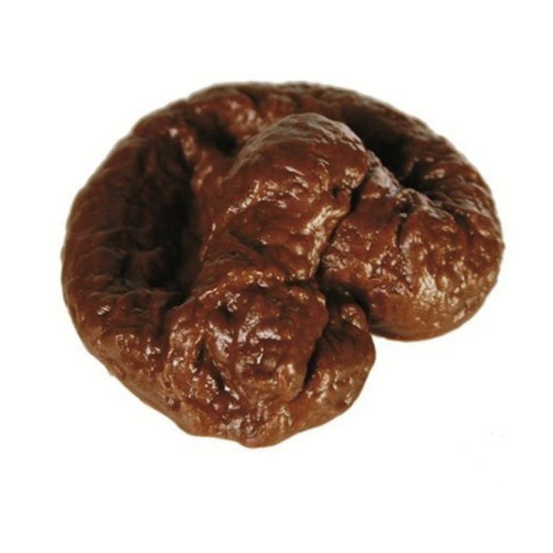 Crotte de Chien
