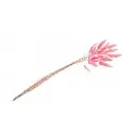 bouquet-25-tiges-lagurus-rose-50-60cm (1).webp
