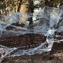 Toile d'araignée décorative Halloween