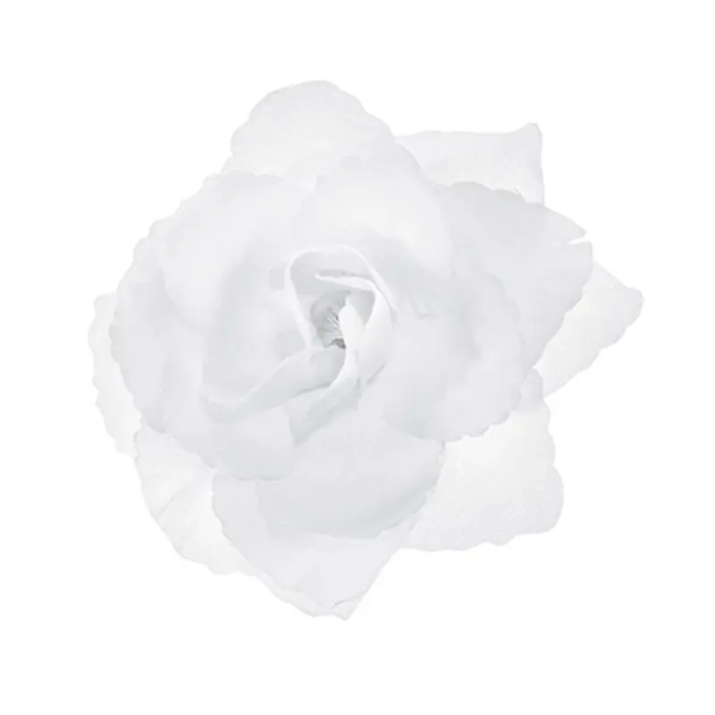site web (8).webp