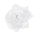 site web (8).webp