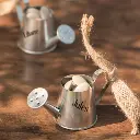 2 petits arrosoirs argent 3 x 9 x 5 cm