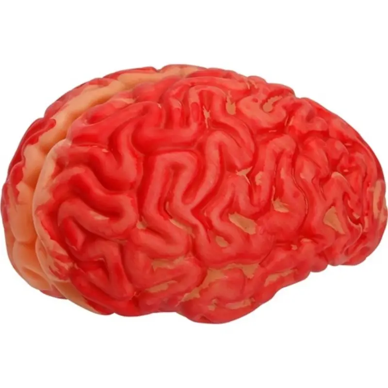 Cerveau ensanglanté