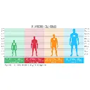 Size Guide Morphsuits.webp