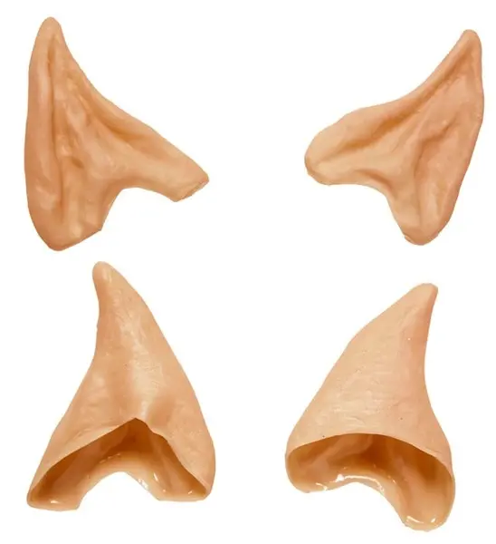 pointe pour oreille.webp