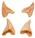 pointe pour oreille.webp
