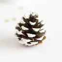 Mini pommes de Pin 5 cm