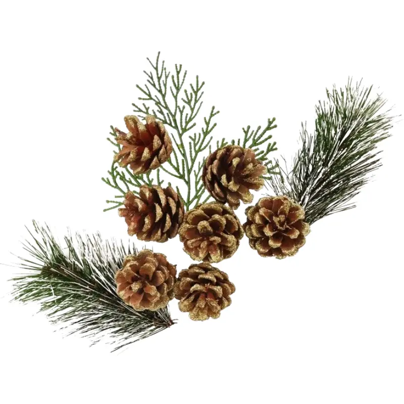 Pommes de pin et sapin