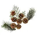 Pommes de pin et sapin