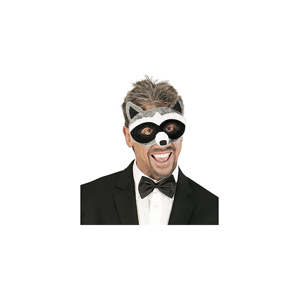 Masque Raton laveur
