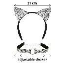 set chat avec strass.webp