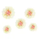 Fleurs en papier de soie