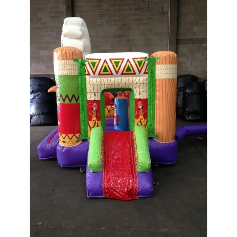 Structure Gonflable L Indien Photo Toboggan.webp