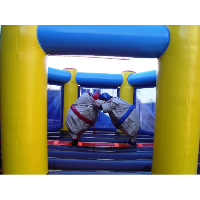 Structure Gonflable Ring Multisport Photo Sumo.webp