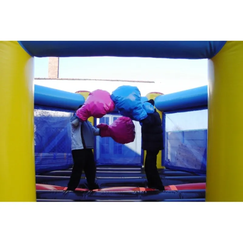 Structure Gonflable Ring Multisport Photo Boxe.webp