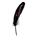 6 plumes "glamour" noires