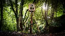 Vintage-Selfie-Photobooth-Vue-Foret-Trepied