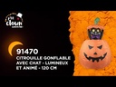 Citrouille et chat gonflable lumineux et animé