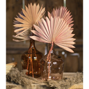 FEUILLES DE PALMIER SECHE 55CM