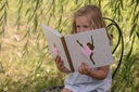 Livre d'or ballerine