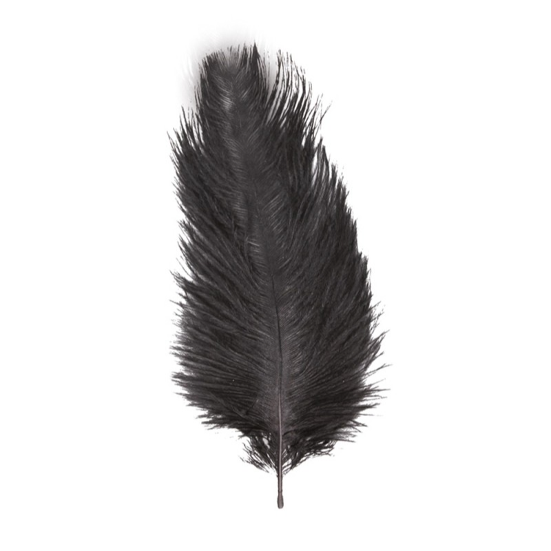 2 Plumes d'autruche / 30-35 cm
