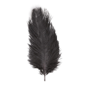 2 Plumes d'autruche / 30-35 cm