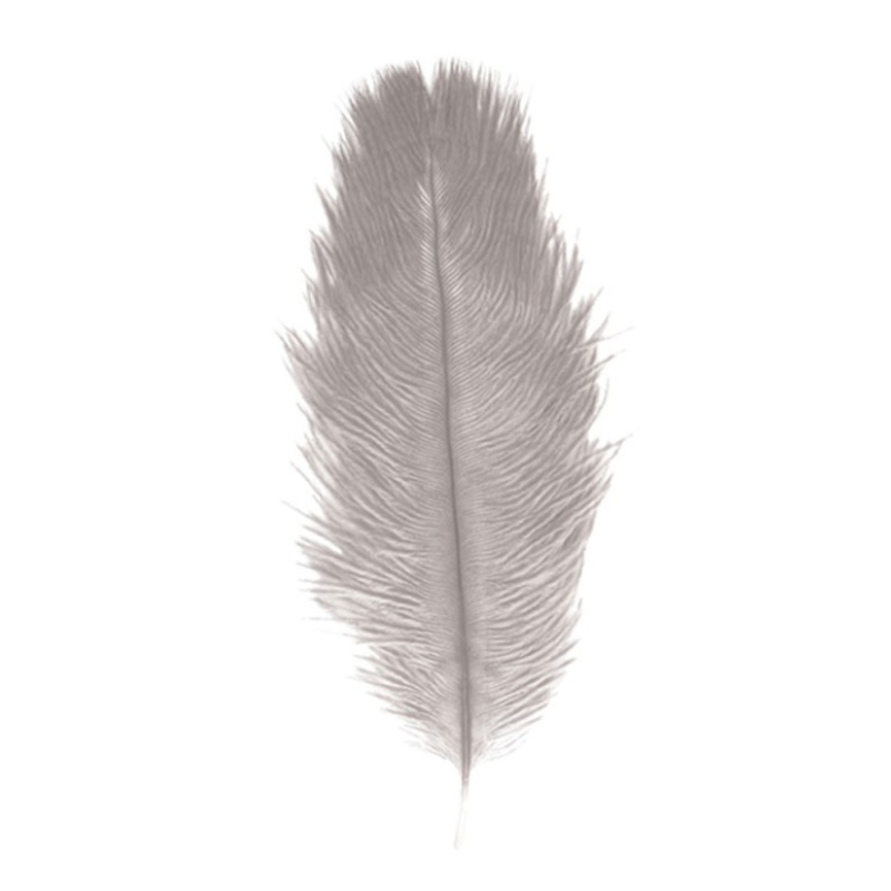 2 Plumes d'autruche / 30-35 cm