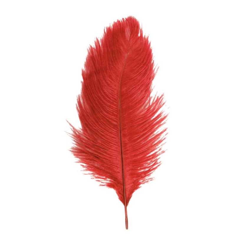 2 Plumes d'autruche / 30-35 cm