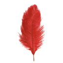 2 Plumes d'autruche / 30-35 cm